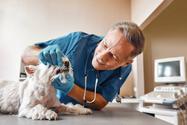 Best Urgent Dental Care  in Long Beach, MS